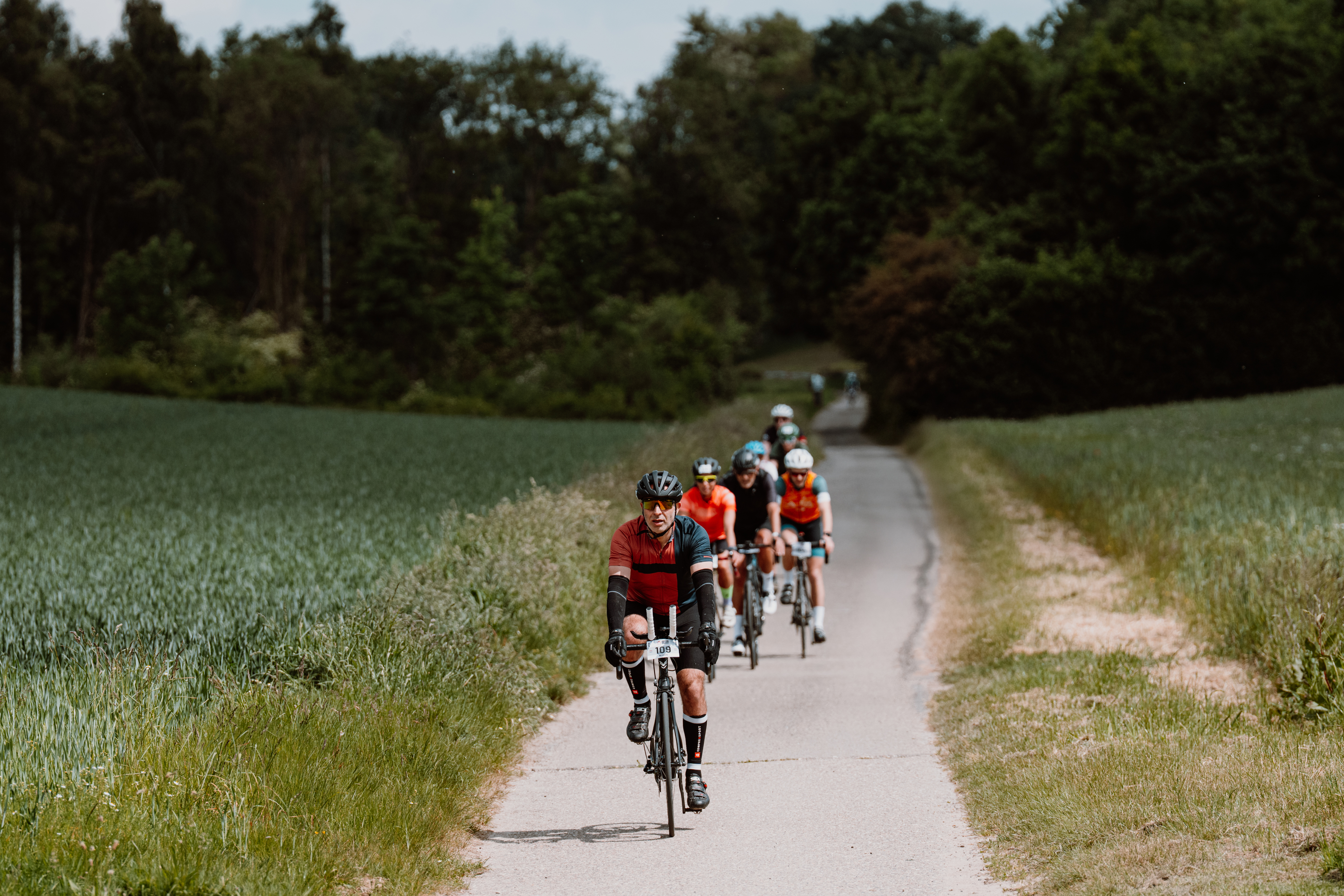 Trainings & Webinars